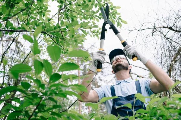 Local Tree Trimming Service You Can Trust for Quality Work