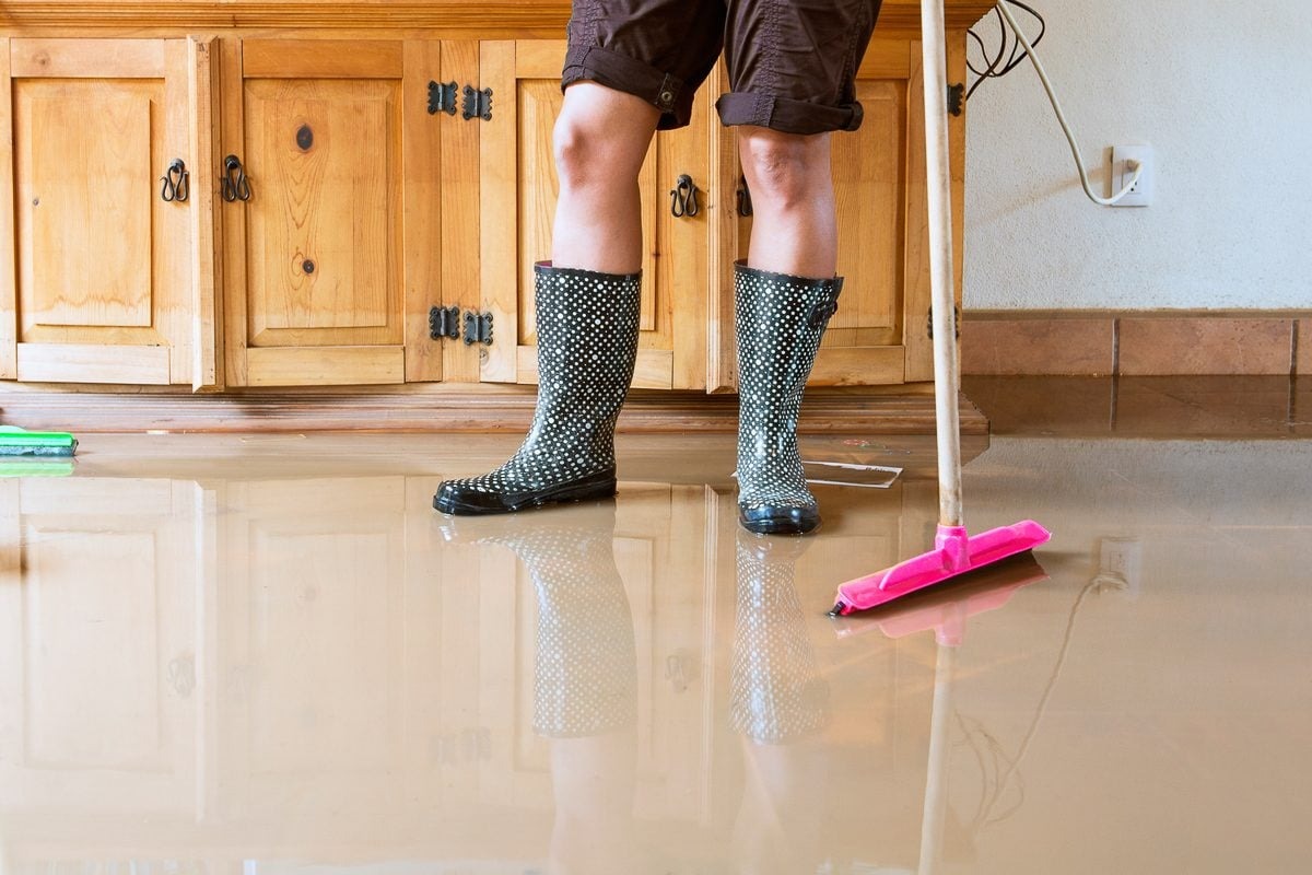How Professionals Handle Water Damage Repair in Oregon City