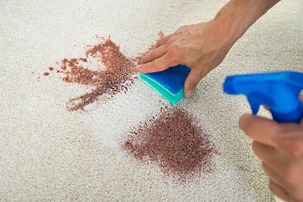 Keep Every Room Fresh with Rug Cleaning Phoenix