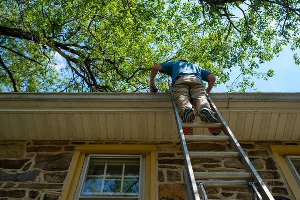 Reliable Gutter Cleaning Services in Bellingham