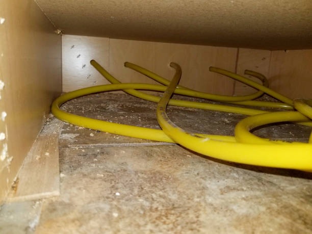 Upgrade Your Property With an Insulation Company in Prince George