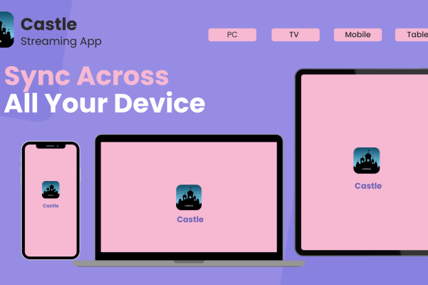 Castle App Explained: Common Features and Functions