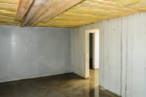 Choosing the Right Crawl Space Vapor Barriers for Long-Term Protection